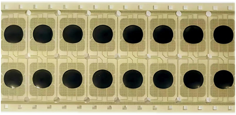 高安全性智能卡模块